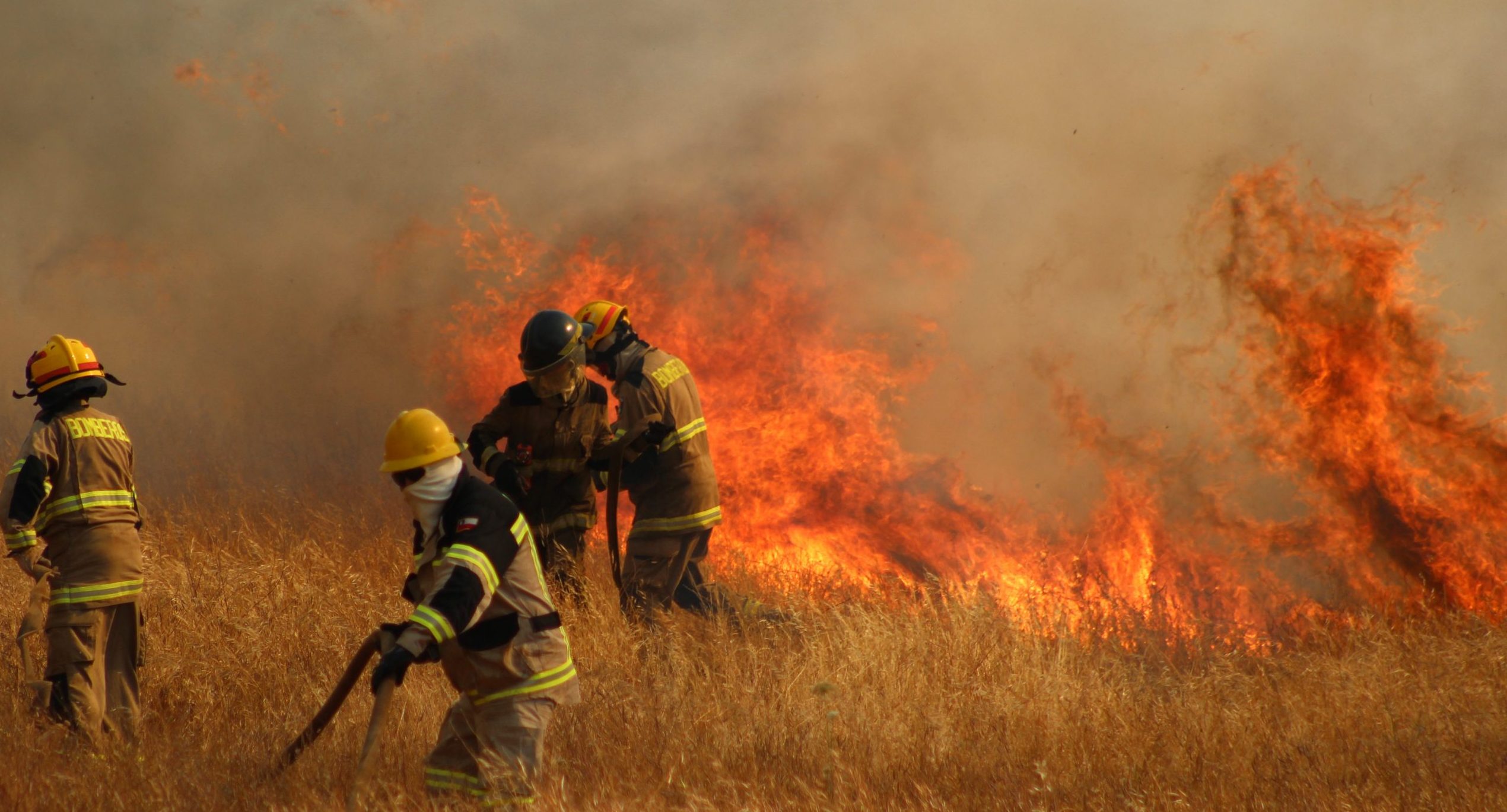 30 incendios forestales siguen en combate en O’Higgins, Maule, Ñuble ...